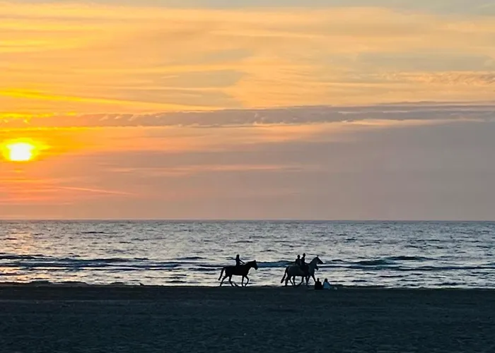 La Dolce Trouvillaise - Maison 5 Personnes - Plein Centre - Au Calme - Belle Terrasse *