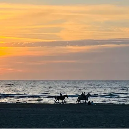 La Dolce Trouvillaise - Maison 5 Personnes - Plein Centre - Au Calme - Belle Terrasse *